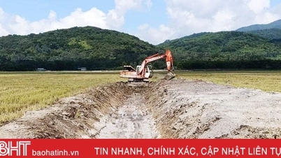 Tan Loc មាន​គោល​បំណង​ឲ្យ​គ្រួសារ​នីមួយៗ​ផលិត​ស្រូវ​ខ្នាត​ធំ​តែ​មួយ​គត់។