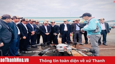Xúc tiến đầu tư, thương mại và du lịch vào tỉnh Thanh Hóa tại Nhật Bản năm 2024
