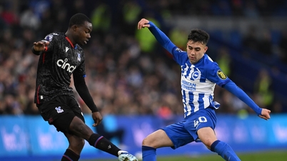Nhận định, dự đoán Brighton vs Crystal Palace: Dễ hòa