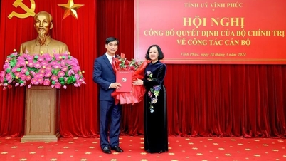Bí thư Tỉnh ủy Vĩnh Phúc sau bà Hoàng Thị Thuý Lan là ai?