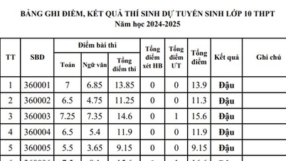 Điểm chuẩn lớp 10 năm 2024-2025 Kiên Giang từng trường ra sao?