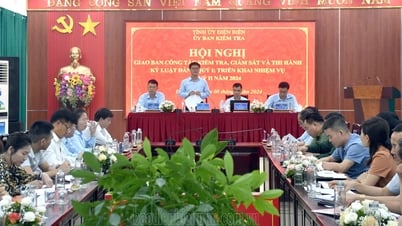 សន្និបាតស្តីពីការត្រួតពិនិត្យ ការត្រួតពិនិត្យ និងការអនុវត្តវិន័យបក្ស
