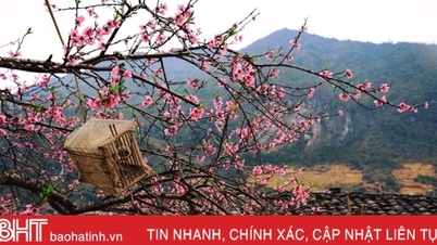 ផ្កាមកដល់ដៃ...