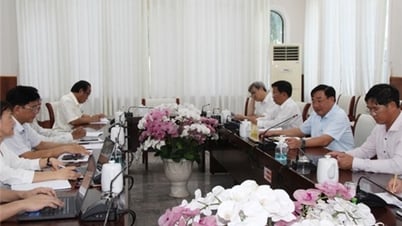 UBND tỉnh làm việc với Ban Chuẩn bị dự án Tam nông giai đoạn 2