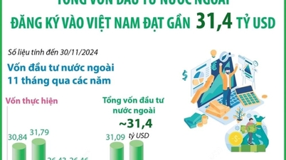 Tổng vốn FDI đăng ký vào Việt Nam đạt gần 31,4 tỷ USD trong 11 tháng