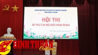 សកម្មភាពនយោបាយទូលំទូលាយ