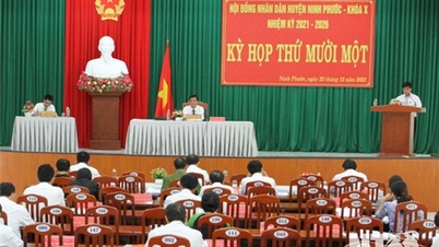 Ninh Phuoc District People's Council, Term X: Organizing the 11th Session