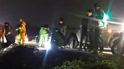 Tông vào cọc tiêu ven đường, người đàn ông lao xuống mương nước ở xã Vĩnh Hưng tử vong