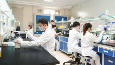 Vietnam to export 150,000 doses of African swine fever vaccine to the Philippines