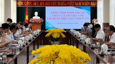 Lãnh đạo UBND tỉnh làm việc với Tập đoàn Điện lực Việt Nam về tình hình cung ứng điện