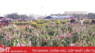 UBND tỉnh chỉ thị tổ chức các hoạt động đón Tết vui tươi, lành mạnh, an toàn, tiết kiệm