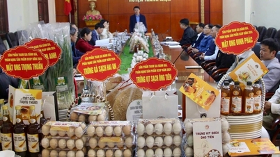 Thanh Mien មានផលិតផល OCOP ផ្កាយ 3 ចំនួន 6 ទៀត។