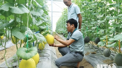 Bác Ái: Nhiều chuyển biến tích cực sau nửa nhiệm kỳ thực hiện nghị quyết đại hội