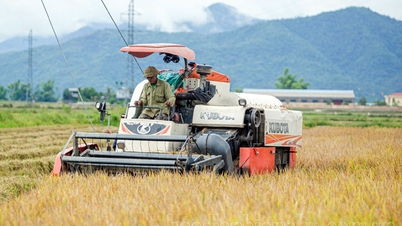 Steigerung des Wertes landwirtschaftlicher Produkte durch Verarbeitung