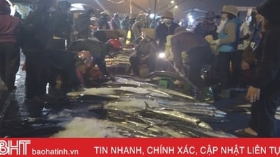 អ្នកនេសាទ Ha Tinh បានឈ្នះរង្វាន់ធំក្នុងការធ្វើដំណើរចុងក្រោយរបស់ពួកគេក្នុងឆ្នាំនេះ។