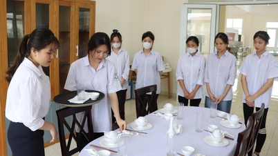 Phát triển nguồn nhân lực du lịch chuyên nghiệp