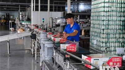 Sản xuất công nghiệp tăng trưởng khá