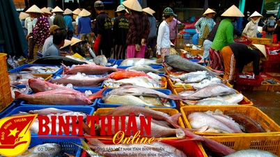 ឆ្នាំដ៏លំបាកសម្រាប់ការនាំចេញអាហារសមុទ្រ