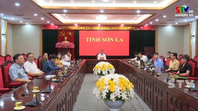 Đẩy mạnh công tác ngoại giao kinh tế, thúc đẩy tăng trưởng
