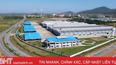 Từ 20/11, Cục Thuế Hà Tĩnh tiếp nhận hồ sơ giảm tiền thuê đất năm 2023