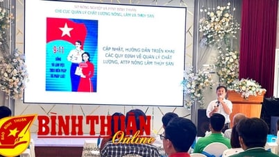 Tập huấn về quản lý chất lượng, an toàn thực phẩm nông, thủy sản