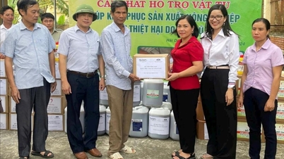 ចែក​ផលិតផល​គីមី និង​ជីវសាស្ត្រ​ចំនួន ៤.៥០០​លីត្រ ដើម្បីជួយ​កសិករ​ស្តារ​ផលិតកម្ម​ឡើងវិញ ក្រោយ​ខ្យល់ព្យុះ