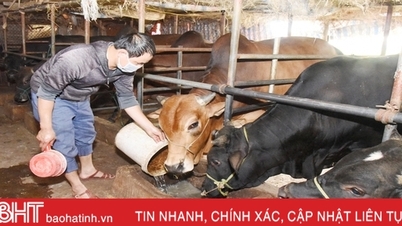 Những chủ thể làm khởi sắc nông thôn mới huyện ven biển Hà Tĩnh