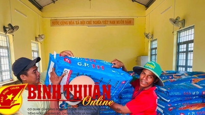 គ្រោះរាំងស្ងួតប៉ះពាល់ដល់វឌ្ឍនភាពនៃការដាំពោតពីប្រភពជំនួយ