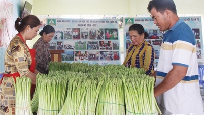 Nông dân xã An Hải chú trọng ứng dụng công nghệ cao vào sản xuất