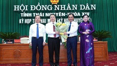 លោក Nguyen Huy Dung អនុលេខាគណៈកម្មាធិការបក្សខេត្ត ត្រូវបានជ្រើសរើសជាប្រធានគណៈកម្មាធិការប្រជាជនខេត្ត Thai Nguyen។