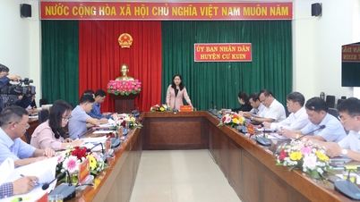 គណៈប្រតិភូរដ្ឋសភាខេត្តត្រួតពិនិត្យការអនុវត្តសេចក្តីសម្រេចចិត្តរបស់រដ្ឋសភានៅស្រុក Cu Kuin។