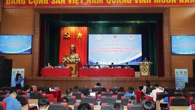 Phát huy vai trò, trách nhiệm của thanh niên trong quá trình xây dựng, phát triển đất nước và thành phố Hải Phòng