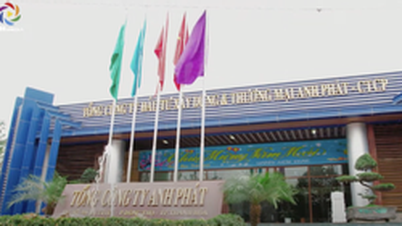 ឧកញ៉ា Trinh Xuan Nghiem ត្រូវបានចាប់ខ្លួន៖ ល្បីល្បាញនៅទីក្រុង Thanh គ្រប់គ្រងប្រព័ន្ធអេកូឡូស៊ីអាជីវកម្មដ៏ធំ