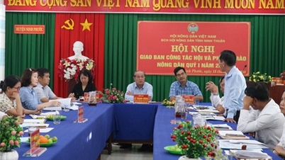 សមាគមកសិករខេត្ត៖ ដាក់ពង្រាយកម្មវិធីការងារសំខាន់ៗសម្រាប់ត្រីមាសទី២ ឆ្នាំ២០២៤