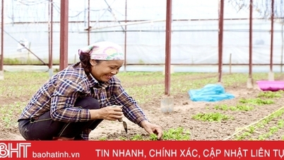 ភូមិផ្កា Luu Vinh Son មានភាពមមាញឹកក្នុងរដូវបុណ្យតេត