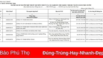 សហគ្រាសធំៗជាច្រើនជំពាក់ពន្ធរាប់រយពាន់លានដុង