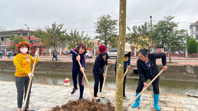 Gia Loc, Binh Giang, Nam Sach, Kim Thanh និង Thanh Mien ត្រូវ​បាន​តាម​លក្ខណៈ​វិនិច្ឆ័យ​នៃ​ស្រុក​ជន​បទ​ថ្មី​ក្នុង​រយៈ​ពេល 2021-2025។