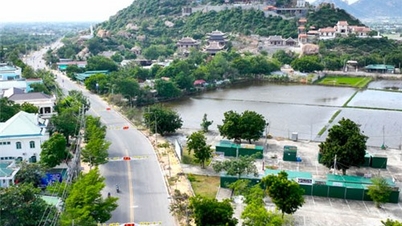 Approved 55 projects calling for investment in the province