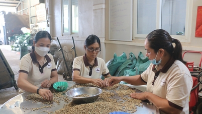 Liên kết sản xuất, tăng thế mạnh cho sản phẩm địa phương