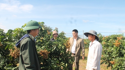 Liên kết để đi “đường dài”