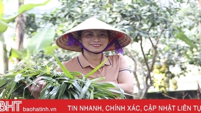 សមាជិកសហភាពនារី Huong Son ទទួលបានអ្នកមានពីគំរូសេដ្ឋកិច្ចសួនច្បារ