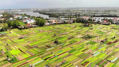 Tra Que Vegetable Village Recognized as the Best Tourist Village in 2024