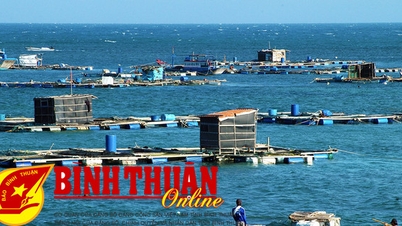 Binh Thuan និងសក្តានុពលកសិកម្មសមុទ្ររបស់ខ្លួន។