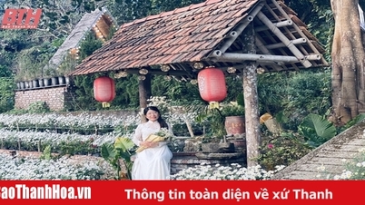 Gieo những “mùa hoa” trên “cánh đồng” du lịch