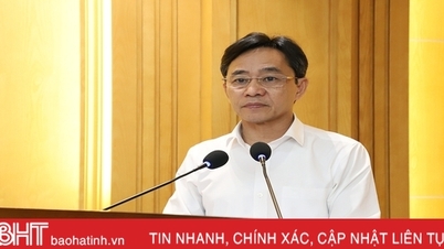 Tập trung tháo gỡ những vướng mắc, khó khăn, tạo điều kiện phát triển kinh tế tập thể Hà Tĩnh