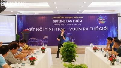 Thảo luận các giải pháp thu hút nhân lực vi mạch tới Đà Nẵng