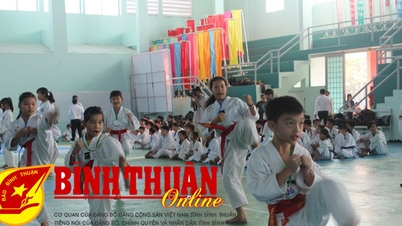 Taekwondo, a sport with lasting "vitality" in La Gi