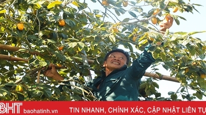 រដូវផ្ការីកដ៏រីករាយរបស់ប្រជាជន Vu Quang