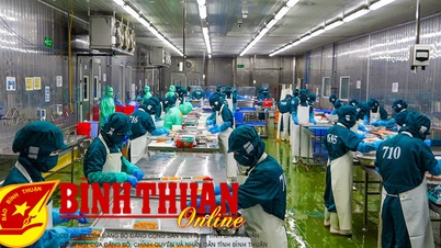 Góp phần cùng cả nước xây dựng chính sách phát triển công nghiệp quốc gia