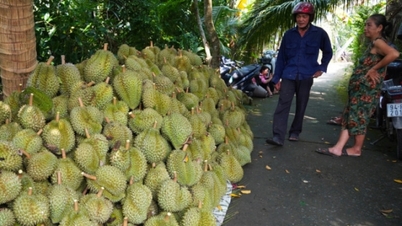 ចិន​ព្រមាន​ចំពោះ​ទុរេន និង​ខ្នុរ​របស់​វៀតណាម